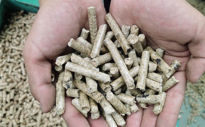 顆粒機加工設(shè)備壓出的燃料顆?？捎米髋Ｑ蝻暳匣蛉剂?/></p><p>眾所周知，秸稈一直是牛羊的飼料，但現(xiàn)在很少使用了。秸稈顆粒機是將稻殼秸稈、麩皮稈、玉米秸稈等原料混合，然后壓制而成。顆粒狀物料可供鍋爐燃燒使用。</p><p>秸稈顆粒機壓出的顆?？勺鳛槿剂稀＿@種方法在國內(nèi)外很多人都在使用，已經(jīng)很普遍了，該顆?？捎糜谌紵⑴腼兒凸I(yè)鍋爐。重要的是，這種顆粒燃料是一種清潔能源。不污染環(huán)境!</p><p>試想，如果每個人都用這些秸稈顆粒燃料代替煤炭來做飯取暖，藍(lán)天還遠(yuǎn)嗎?</p><p><a data-mid=